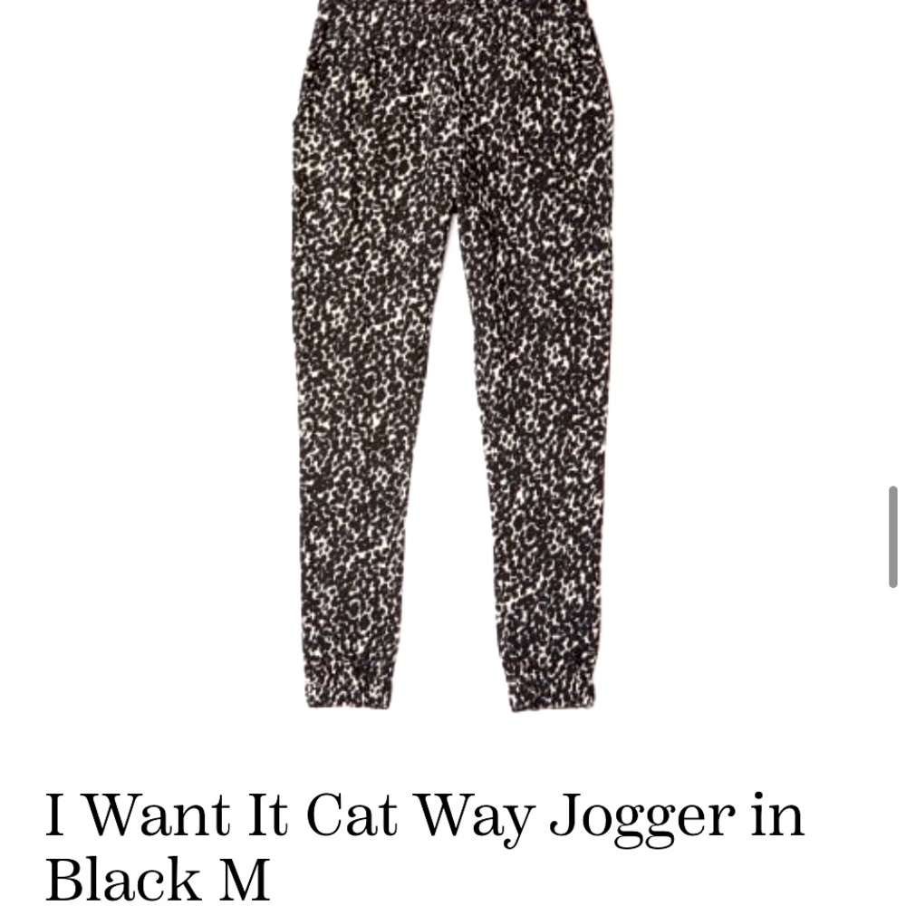 NWT BB Dakota high waisted joggers!